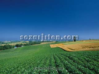 �W���K�C����
