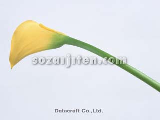 �J���[