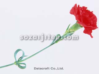 �J�[�l�[�V����