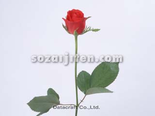 �o��