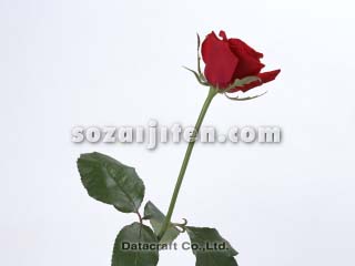 �o��