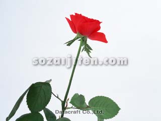 �o��