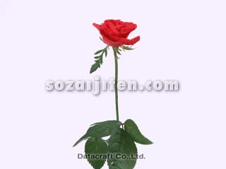 �o��