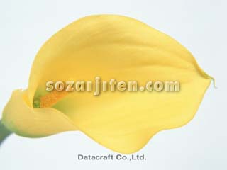 �J���[