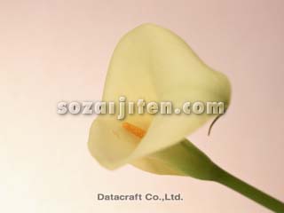 �J���[