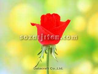 �o��