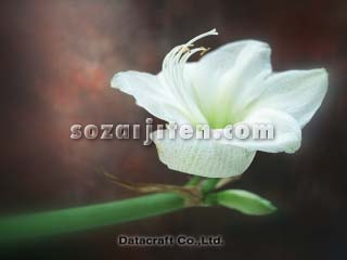�A�}�����X