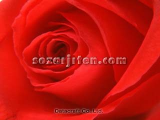 �o��