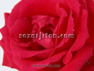 �o��