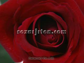 �o��