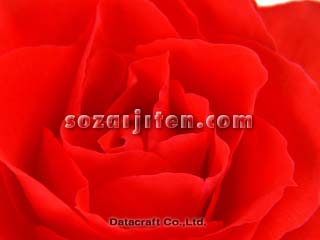 �o��