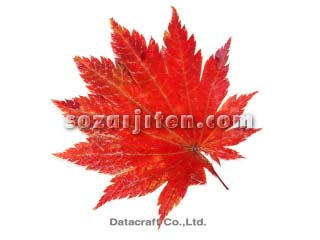 �n�E�`���J�G�f