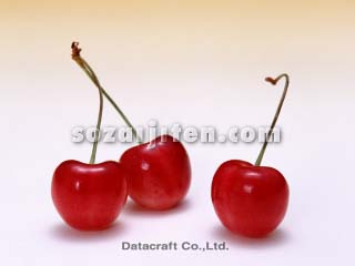 �T�N�����{