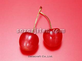 �T�N�����{