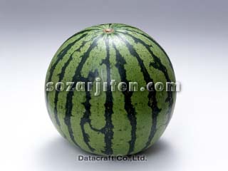 �X�C�J