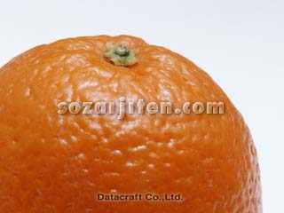 �I�����W