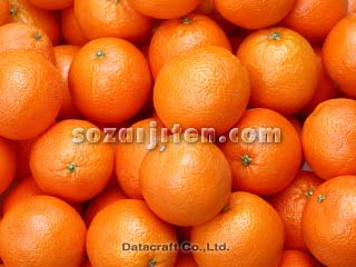 �I�����W