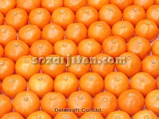 �~�J��