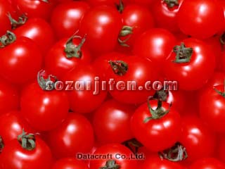 �~�j�g�}�g