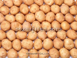 �W���K�C��