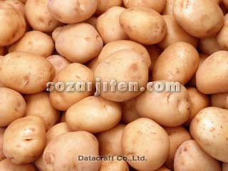 �W���K�C��