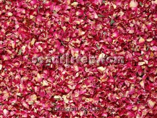 ���[�Y�s���N