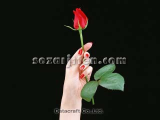 �o��