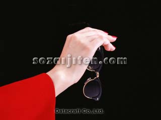 �T���O���X