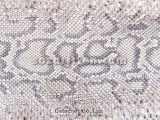 �w�r�v