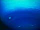海王星（NASA提供）