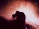 オリオン座の馬頭星雲（NASA提供）