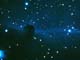 オリオン座の馬頭星雲（NASA提供）