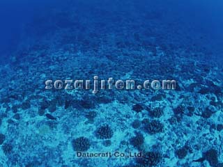 �C��