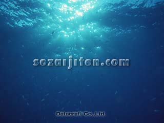 �C��