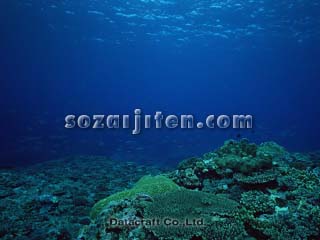 �T���S