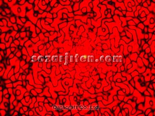 ���[�U�[����