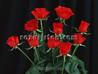 �o��