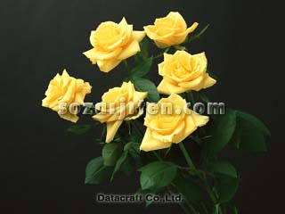 �o��