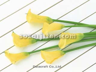 �J���[