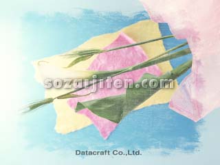 �J���[