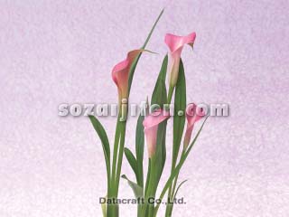 �J���[
