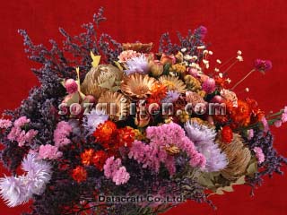�h���C�t�����[