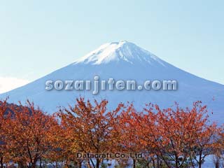 �g�t�ƕx�m�R