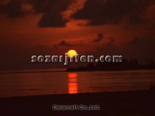 �C�Ƒ��z