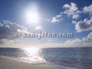 �g�ł���