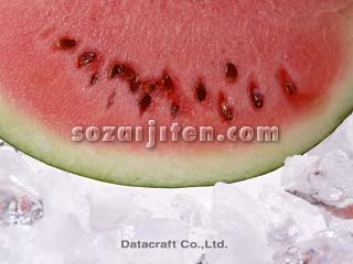 �X�C�J