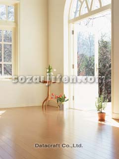 �C���e���A