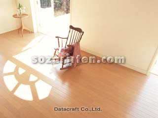�C���e���A