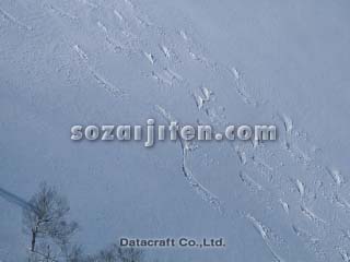 �Q�����f