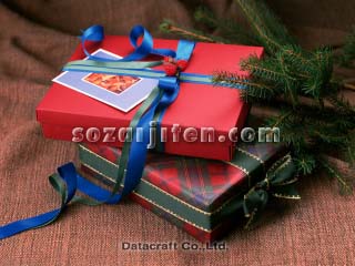 �v���[���g